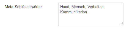 Meta Keywords vergeben