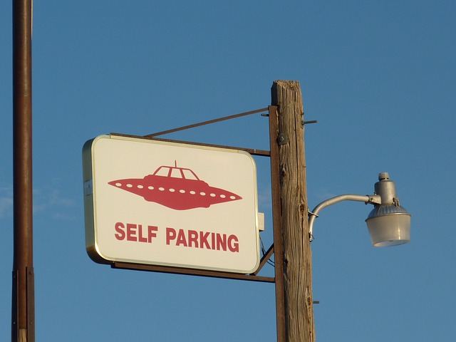 Self Parking SEO