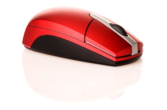 mouse-74533_640.jpg