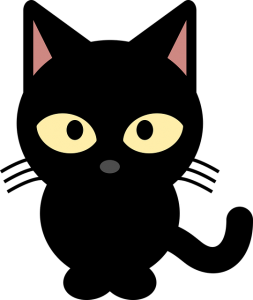 schwarze katze