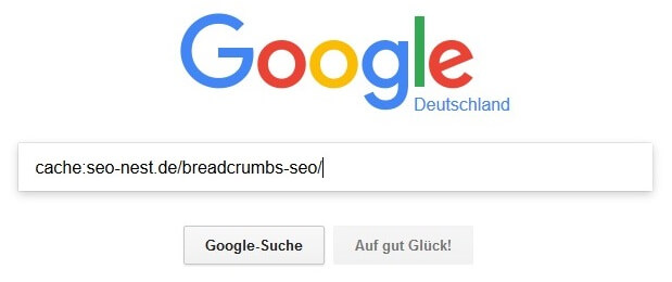 Bild: Google Cache Abfrage